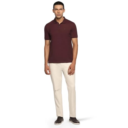 blackberrys Men's Slim Fit Solid Wine Casual T Shirts