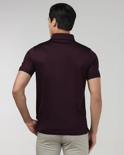 Blackberrys men's burgundy cotton slim polo T-shirt with diagonal stripes, long-sleeve, casual men's upper wear.