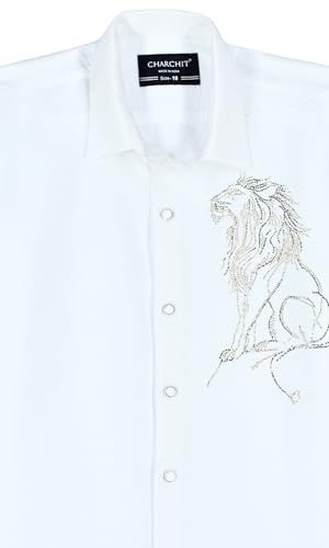 Blue boys' full-sleeve shirt by Charchit with embellished solid design, featuring a stylish and comfortable upper shirt for boys.