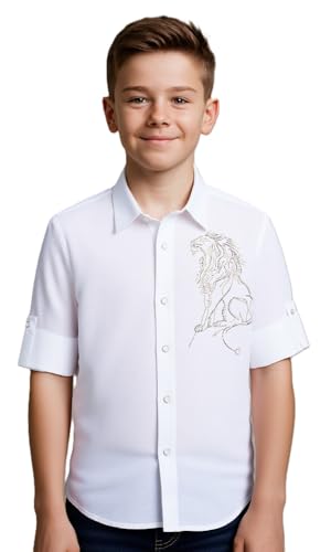 Blue boys' full sleeves embellished solid shirt by Charchit, featuring decorative details and a comfortable fit.