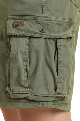 Men Olive Solid Shorts