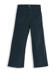 Allen Solly Boy's Regular Casual Pants (ABTFERGFC27901_Navy