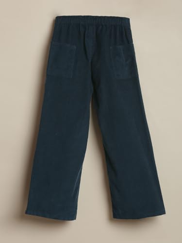Allen Solly Boy's Regular Casual Pants (ABTFERGFC27901_Navy