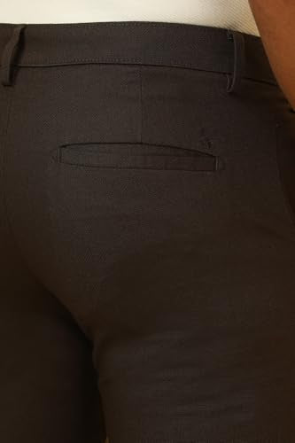 Allen Solly Men's Slim Casual Pants (ASTFQULF573219_Brown