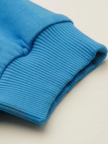 Allen Solly Boy's Regular Track Pants (ABPTERGFW28144_Blue