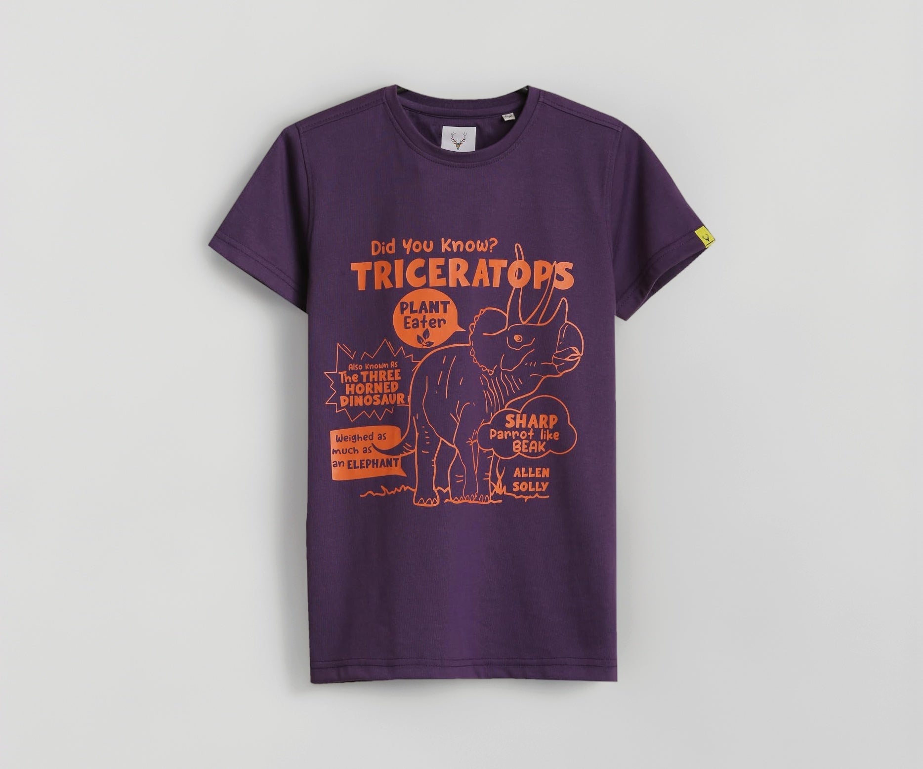 Boys Purple Graphic Print Crew Neck T-Shirt