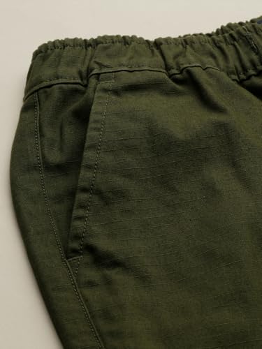 Allen Solly Boy's Slim Casual Pants (ABTFESLFO68663_Olive