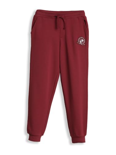 Allen Solly Boy's Regular Track Pants (ABPTERGF448350_Maroon