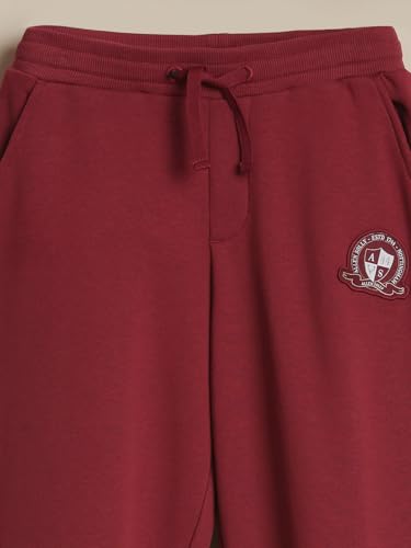 Allen Solly Boy's Regular Track Pants (ABPTERGF448350_Maroon