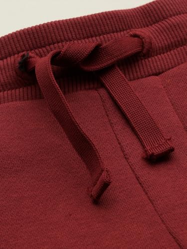 Allen Solly Boy's Regular Track Pants (ABPTERGF448350_Maroon