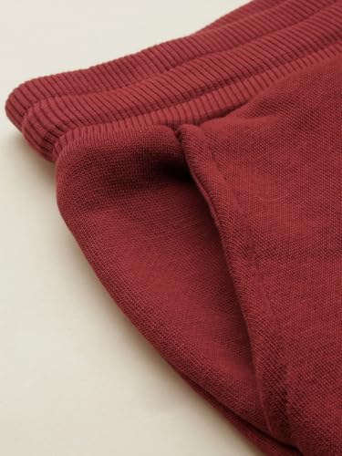 Allen Solly Boy's Regular Track Pants (ABPTERGF448350_Maroon