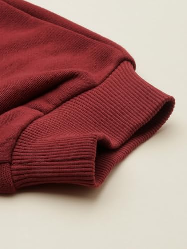 Allen Solly Boy's Regular Track Pants (ABPTERGF448350_Maroon