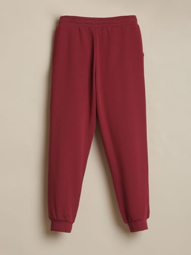 Allen Solly Boy's Regular Track Pants (ABPTERGF448350_Maroon