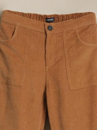 Allen Solly Boy's Regular Casual Pants (ABTFERGFL51767_Brown