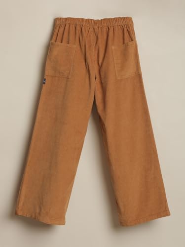 Allen Solly Boy's Regular Casual Pants (ABTFERGFL51767_Brown