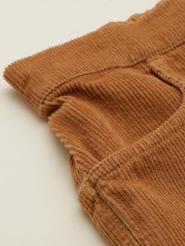 Allen Solly Boy's Regular Casual Pants (ABTFERGFL51767_Brown