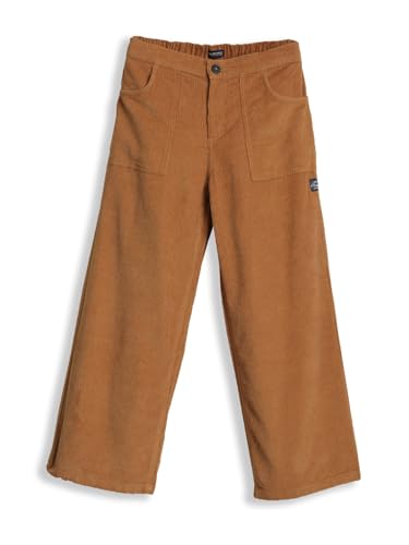 Allen Solly Boy's Regular Casual Pants (ABTFERGFL51767_Brown
