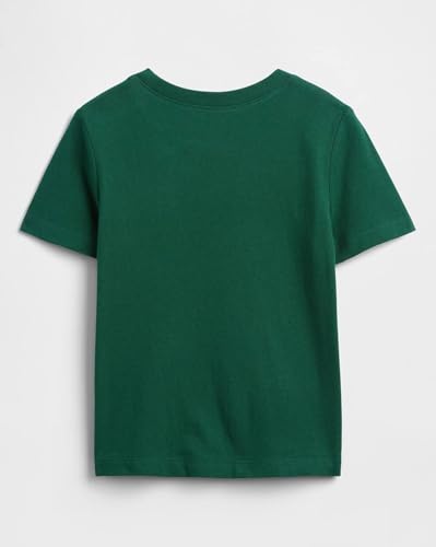 Boy's Graphic Printed Half Sleeve Round Neck Relaxed fit T-Shirt,Green,2Y