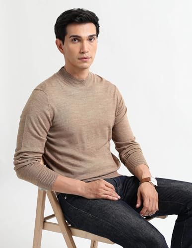 Arrow Sport Men's Mock Neck Regular Fit Sweater