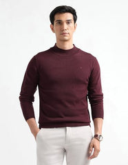 Arrow Sport Men's Mock Neck Regular Fit Sweater