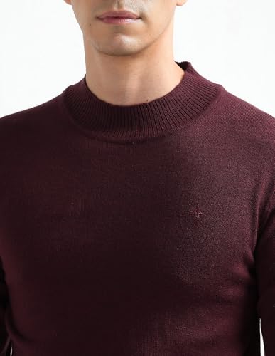 Arrow Sport Men's Mock Neck Regular Fit Sweater