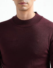 Arrow Sport Men's Mock Neck Regular Fit Sweater