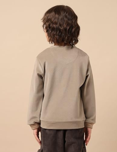 U.S. Polo Assn. Kids Boy's Cotton Crew Neck Sweatshirt (UKSWS0317_Beige