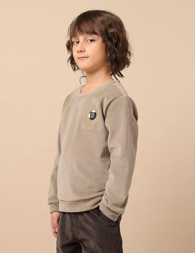 U.S. Polo Assn. Kids Boy's Cotton Crew Neck Sweatshirt (UKSWS0317_Beige