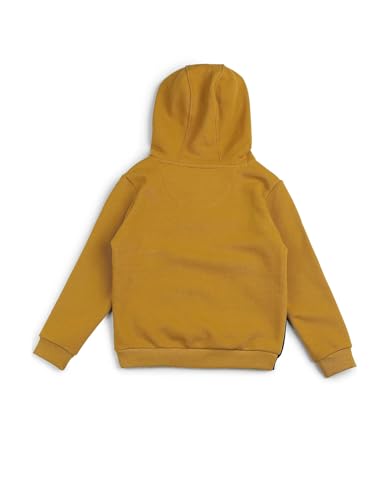 U.S. Polo Assn. Kids Boy's Cotton Neck Hooded Sweatshirt (UKSWS0330_Yellow