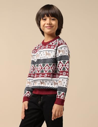 U.S. Polo Assn. Kids Boy's Acrylic Crew Neck Pullover Sweater (UKSWE0165_Dark Red