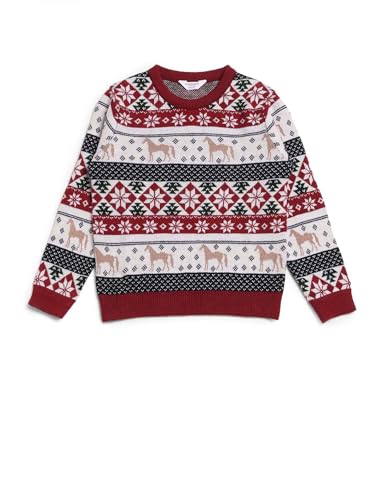 U.S. Polo Assn. Kids Boy's Acrylic Crew Neck Pullover Sweater (UKSWE0165_Dark Red