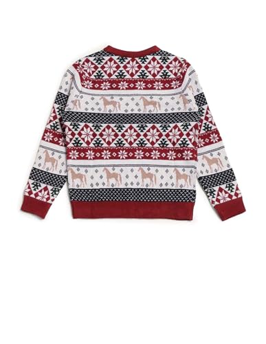 U.S. Polo Assn. Kids Boy's Acrylic Crew Neck Pullover Sweater (UKSWE0165_Dark Red