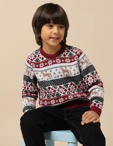 U.S. Polo Assn. Kids Boy's Acrylic Crew Neck Pullover Sweater (UKSWE0165_Dark Red
