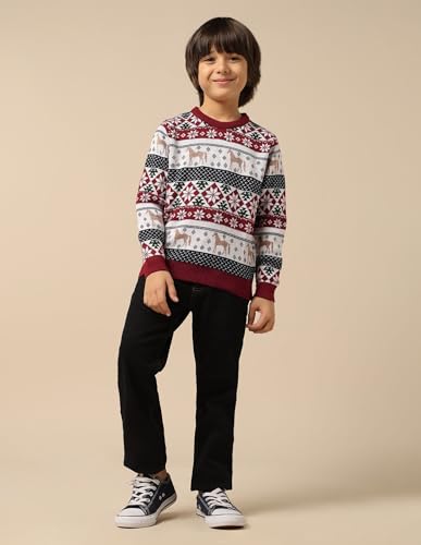 U.S. Polo Assn. Kids Boy's Acrylic Crew Neck Pullover Sweater (UKSWE0165_Dark Red
