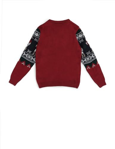 U.S. Polo Assn. Kids Boy's Acrylic Crew Neck Pullover Sweater (UKSWE0167_Dark Red