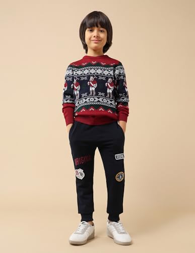 U.S. Polo Assn. Kids Boy's Acrylic Crew Neck Pullover Sweater (UKSWE0167_Dark Red