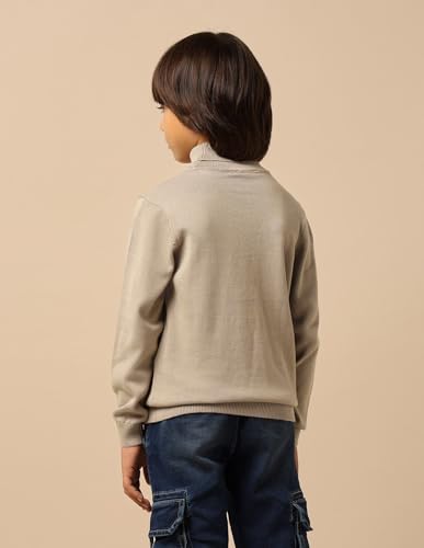 U.S. Polo Assn. Kids Boy's Cotton Turtle Neck Pullover Sweater (UKSWE0174_Beige