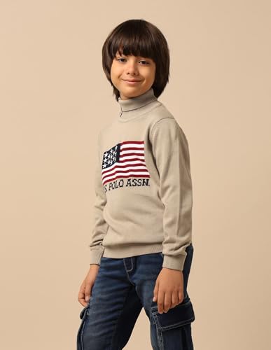 U.S. Polo Assn. Kids Boy's Cotton Turtle Neck Pullover Sweater (UKSWE0174_Beige
