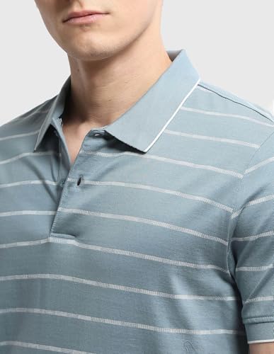 Arrow Men's Horizontal Striped Regular Fit Polo Shirt (ARALTS3796_Blue_L)