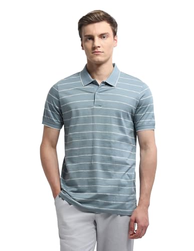 Arrow Men's Horizontal Striped Regular Fit Polo Shirt (ARALTS3796_Blue_L)