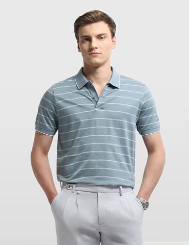 Arrow Men's Horizontal Striped Regular Fit Polo Shirt (ARALTS3796_Blue_L)