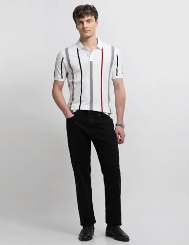 Arrow Sport Men's Vertical Striped Regular Fit Polo Shirt