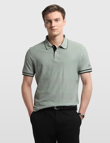 Arrow Sport Men's Self Design Horizontal Striped Regular Fit Polo Shirt (ASALTS3407_Light Green_L)