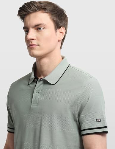 Arrow Sport Men's Self Design Horizontal Striped Regular Fit Polo Shirt (ASALTS3407_Light Green_L)
