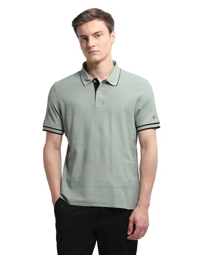 Arrow Sport Men's Self Design Horizontal Striped Regular Fit Polo Shirt (ASALTS3407_Light Green_L)