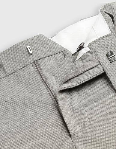 Arrow Men's Dobby Hudson Regular Fit Trousers (ARALTR2013_Light Brown_30)