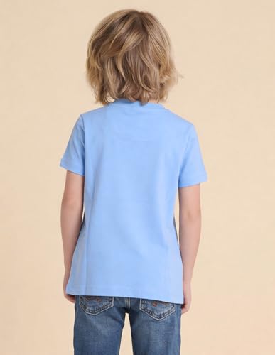 USPA Kids Boys Graphic Printed Regular Fit T-Shirt (UKTSH2514_Light Blue_2-3 Y)