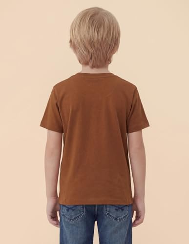 USPA Kids Boys Graphic Brand Printed T-Shirt (UKTSH2558_Rust_8-9 Years)