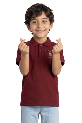 Allen Solly Boys Maroon Embroidered Polo Neck T-Shirt