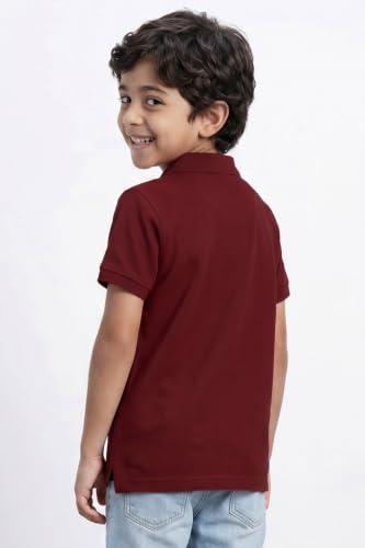 Allen Solly Boys Maroon Embroidered Polo Neck T-Shirt